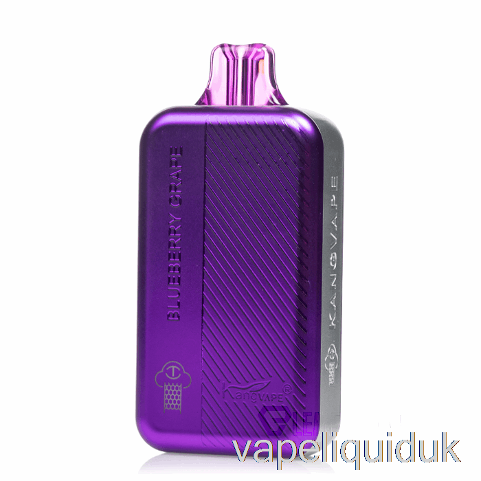 Kangvape TC8000 Disposable Blueberry Grape Vape Juice